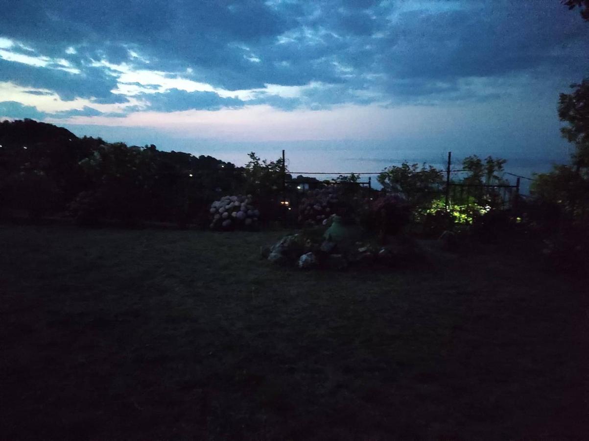 Diogenis Hotel Цагкарада Екстер'єр фото