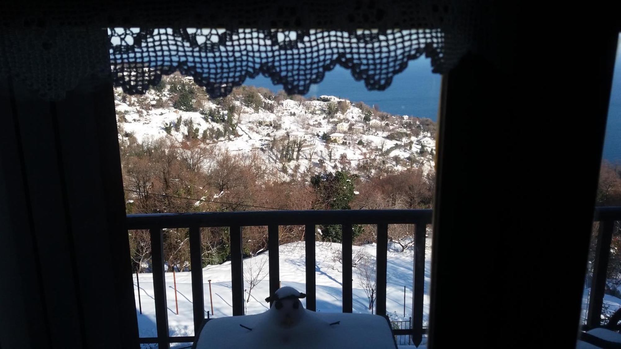 Diogenis Hotel Цагкарада Екстер'єр фото