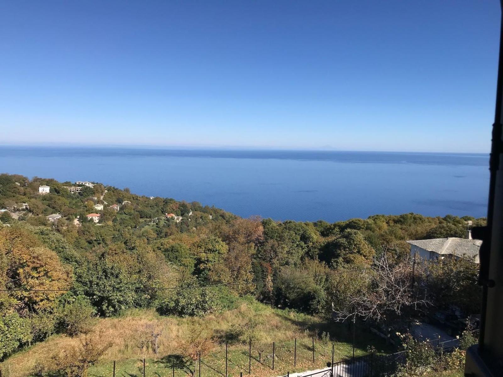 Diogenis Hotel Цагкарада Екстер'єр фото