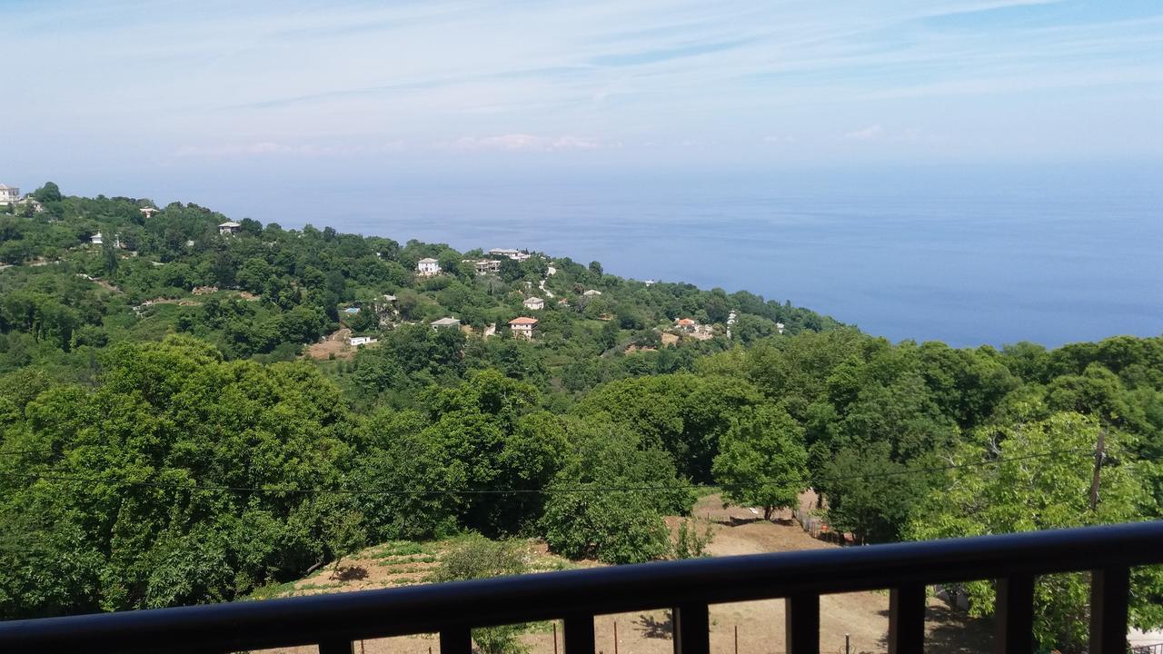 Diogenis Hotel Цагкарада Екстер'єр фото