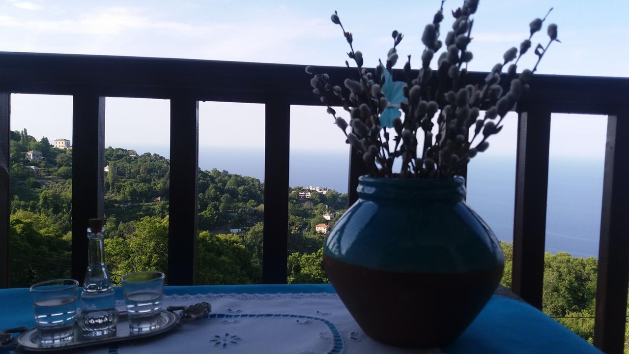Diogenis Hotel Цагкарада Екстер'єр фото