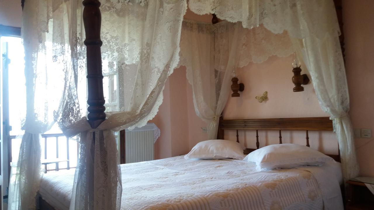Diogenis Hotel Цагкарада Екстер'єр фото