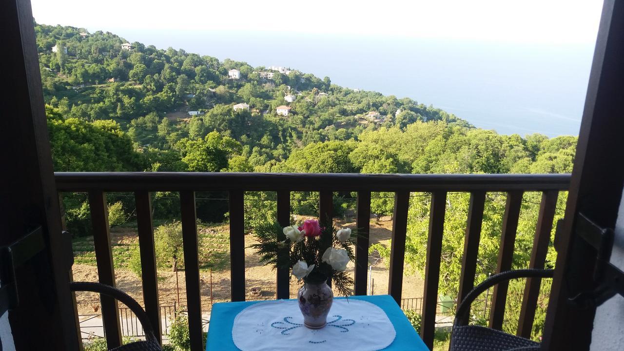 Diogenis Hotel Цагкарада Екстер'єр фото