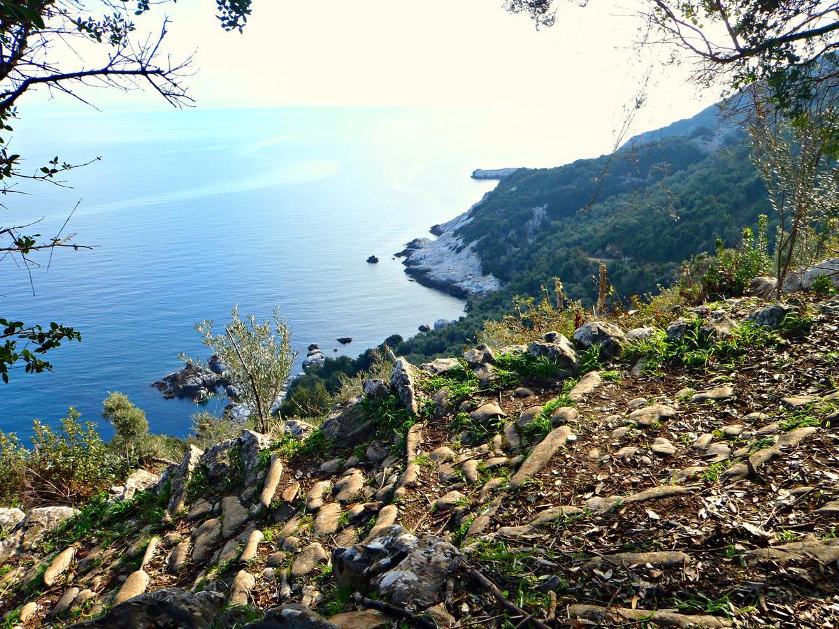 Diogenis Hotel Цагкарада Екстер'єр фото